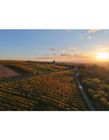 Riesling ZELLERWEG AM SCHWARZEN HERRGOTT